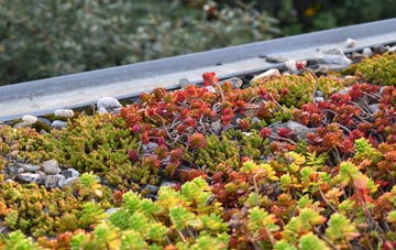 the cost of Westgate Street green roof installation