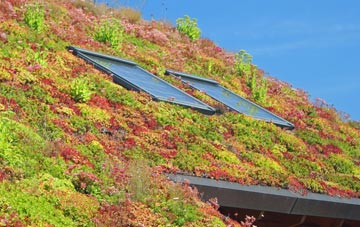 Westgate Street living roof systems